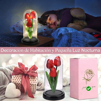 TULIPANES ETERNOS
