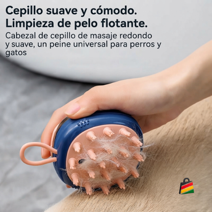 Cepillo dispensador