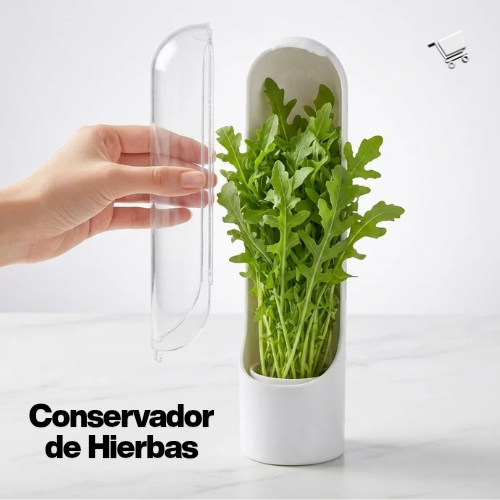 Conservador De Hierbas