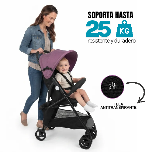 Carrito de paseo