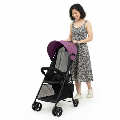 Carrito de paseo